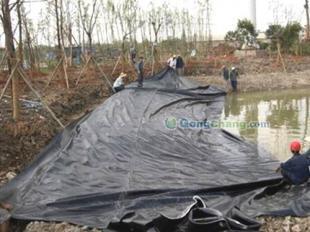 供應(yīng)供應(yīng)【隴南】膨潤(rùn)土防水毯 垃圾填埋場(chǎng)專用_化工_世界工廠網(wǎng)中國(guó)產(chǎn)品信息庫(kù)