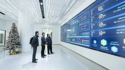 攜手共進(jìn)，開創(chuàng)信息服務(wù)新篇章——上海市信息服務(wù)業(yè)行業(yè)協(xié)會秘書長陸雷一行蒞臨珍島集團(tuán)調(diào)研